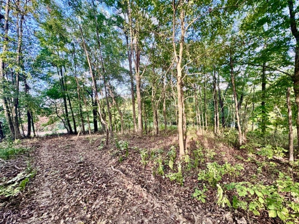 Image for 314 Bear Run Road, Cadiz, KY 42211