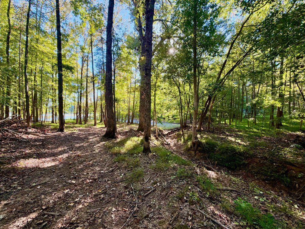Image for Private Lake Barkley Waterfront with Private Dock AUCTION