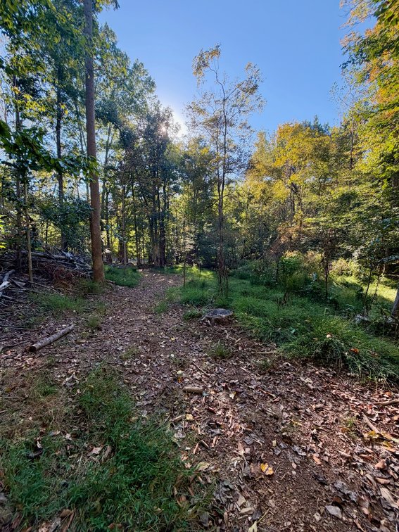 Image for Private Lake Barkley Waterfront with Private Dock AUCTION