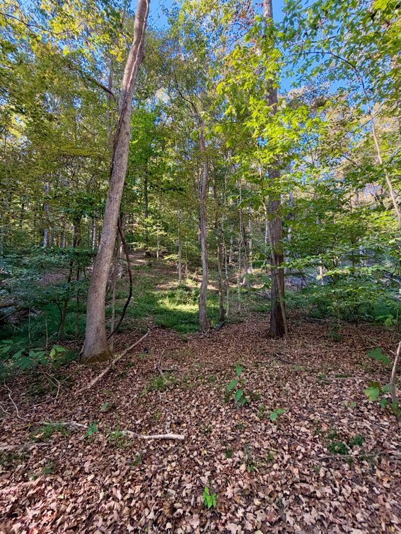 Image for Private Lake Barkley Waterfront with Private Dock AUCTION
