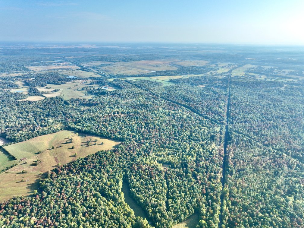 Image for Turnkey Luxury Game Preserve Auction