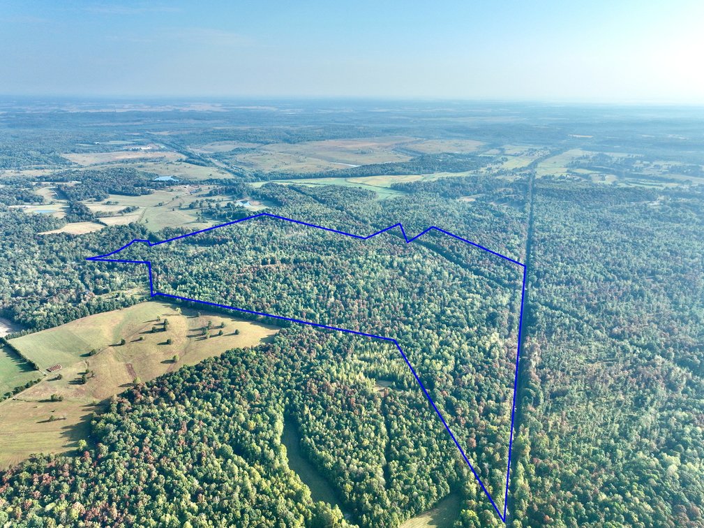 Image for Turnkey Luxury Game Preserve Auction