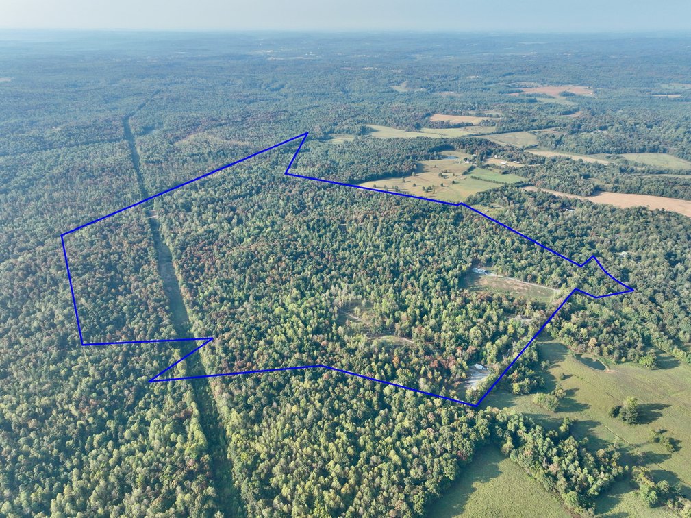 Image for Turnkey Luxury Game Preserve Auction