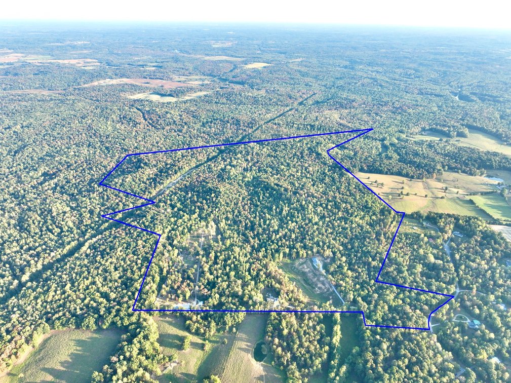 Image for Turnkey Luxury Game Preserve Auction