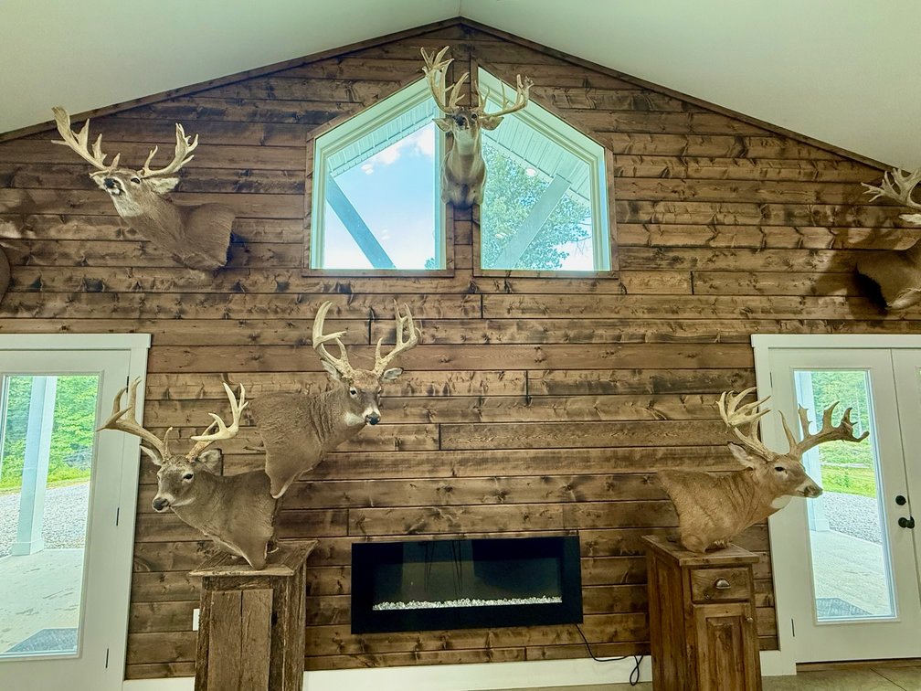 Image for Turnkey Luxury Game Preserve Auction