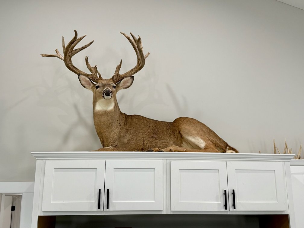 Image for Turnkey Luxury Game Preserve Auction