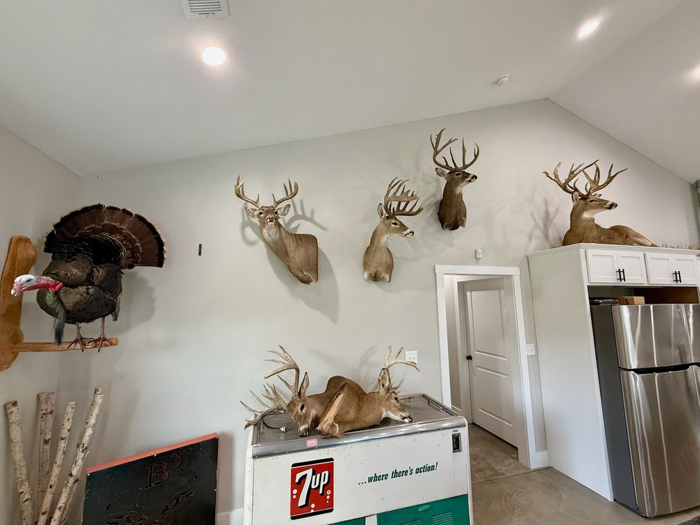 Image for Turnkey Luxury Game Preserve Auction