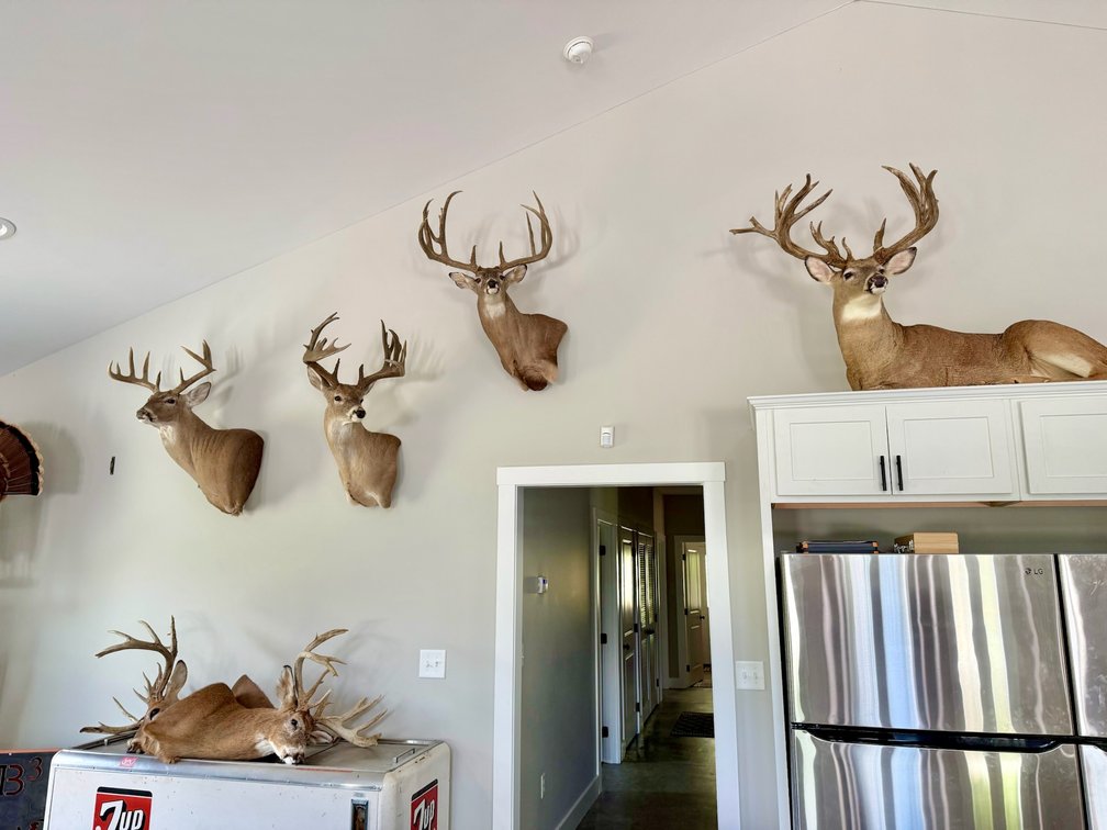 Image for Turnkey Luxury Game Preserve Auction
