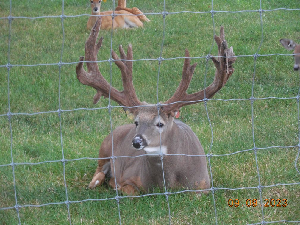 Image for Turnkey Luxury Game Preserve Auction