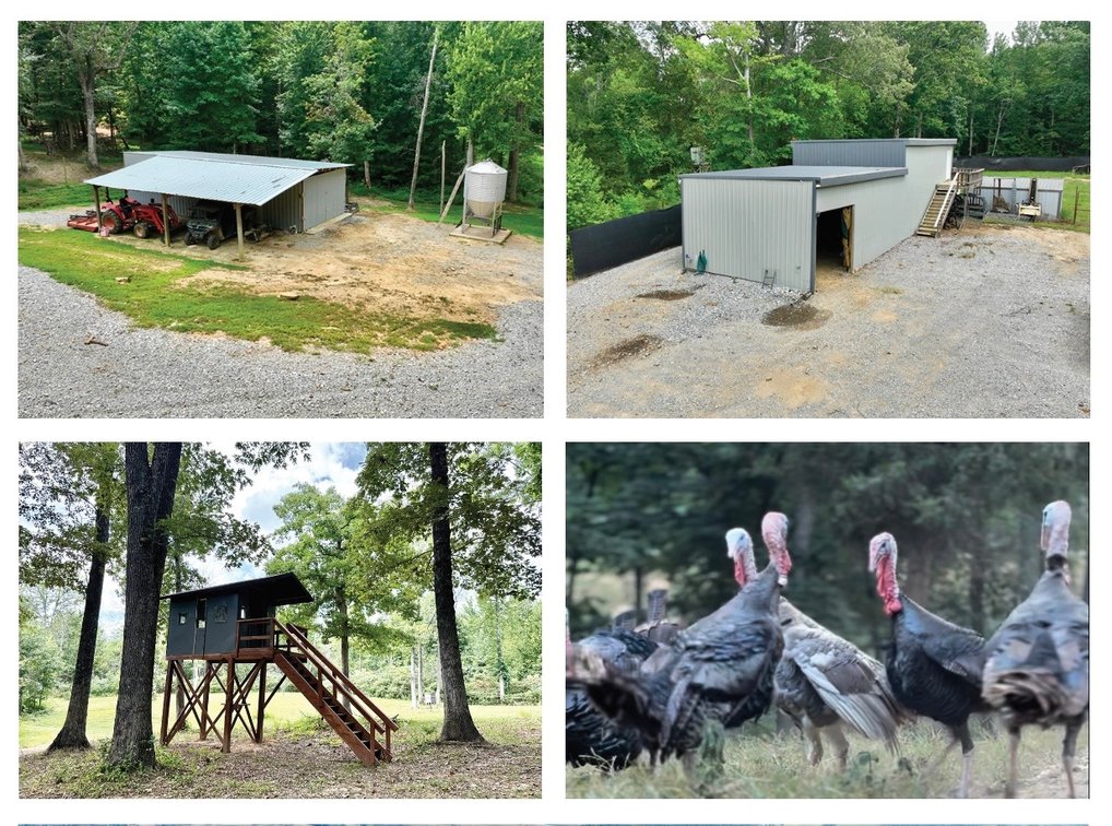 Image for Turnkey Luxury Game Preserve Auction