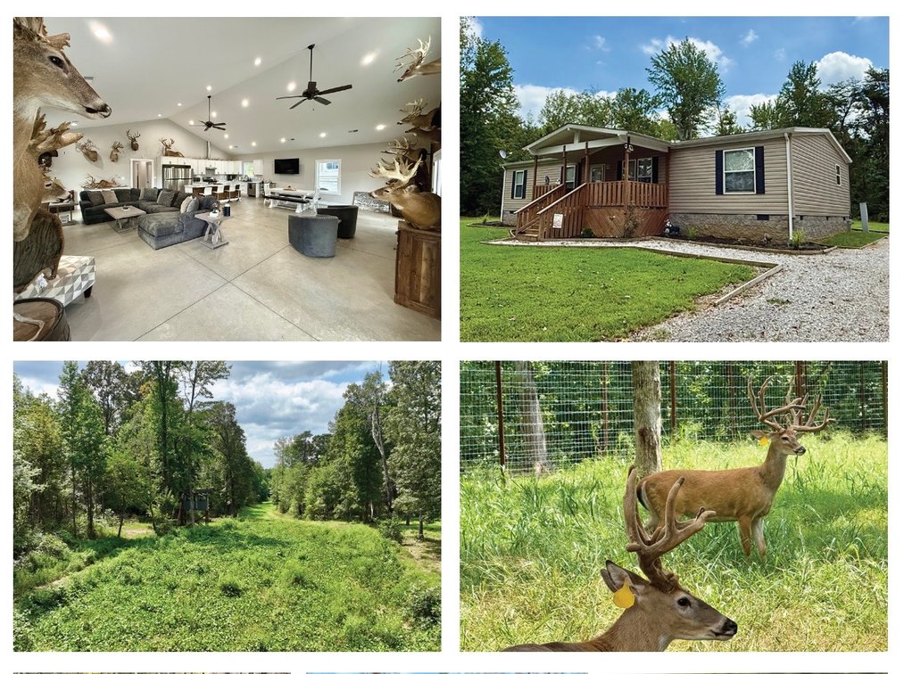 Image for Turnkey Luxury Game Preserve Auction