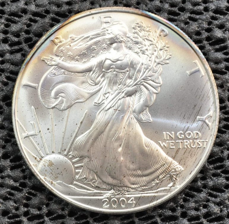 1 oz. Silver American Eagle Dollar, 2004