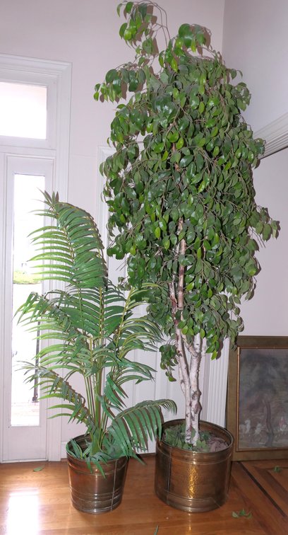 Two Faux Accent Plants