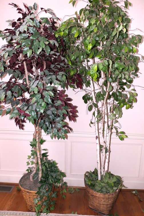 Two Faux Accent Trees