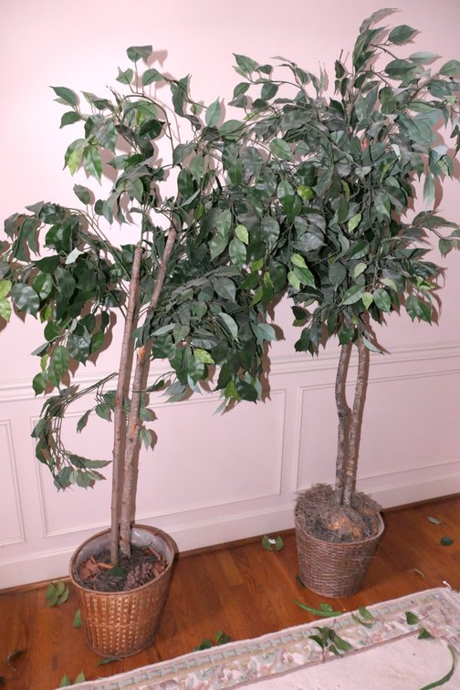 Two Faux Accent Trees