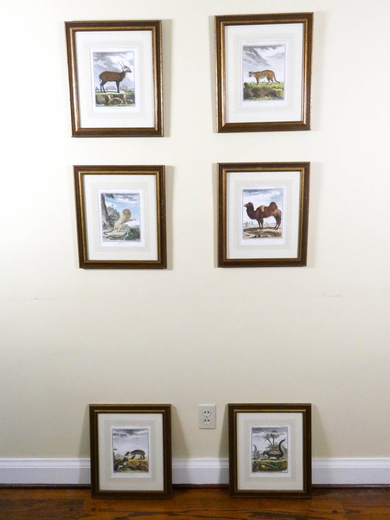 Set of Six French Colored Engravings of Animals