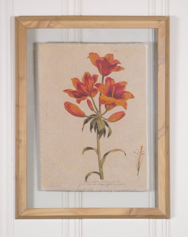 Botanical Canvas Suspended in Glass