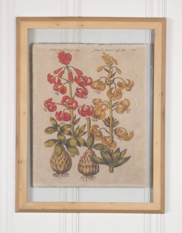 Botanical Canvas Suspended in Glass