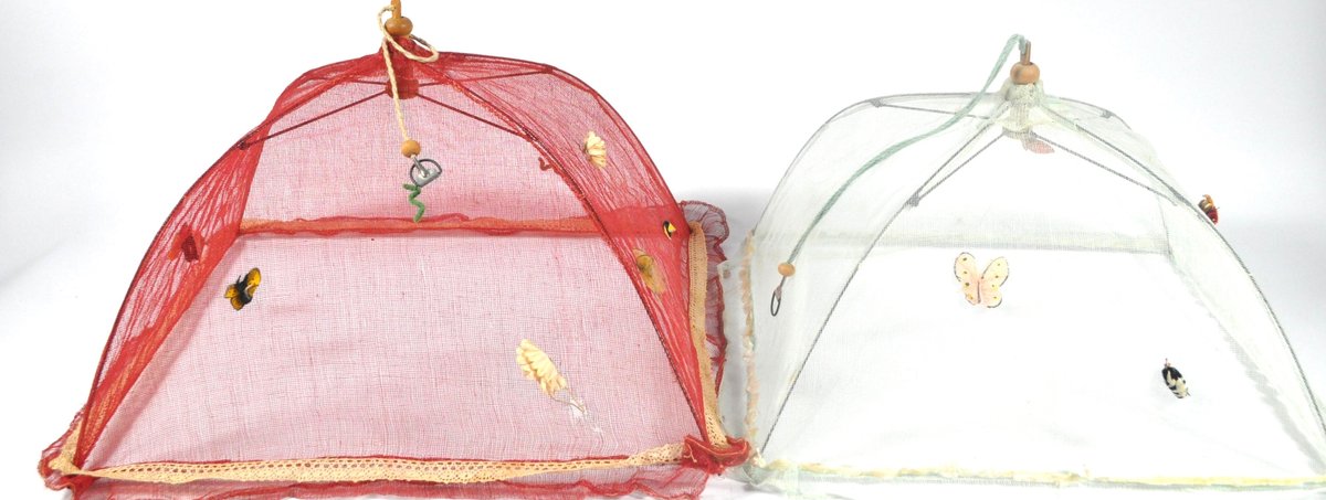 Two Portable Food Covers