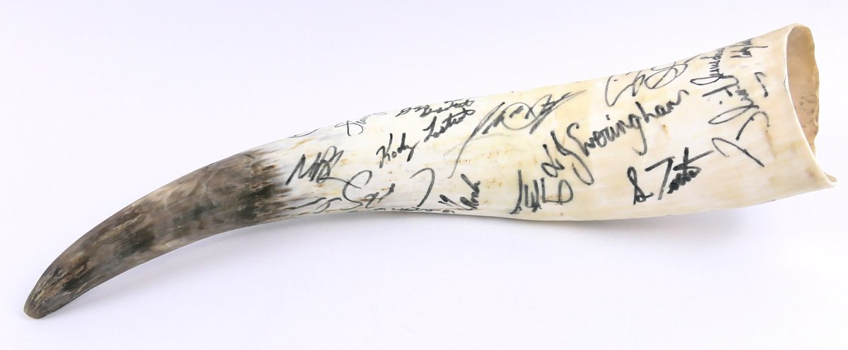 Signed Bull Horns