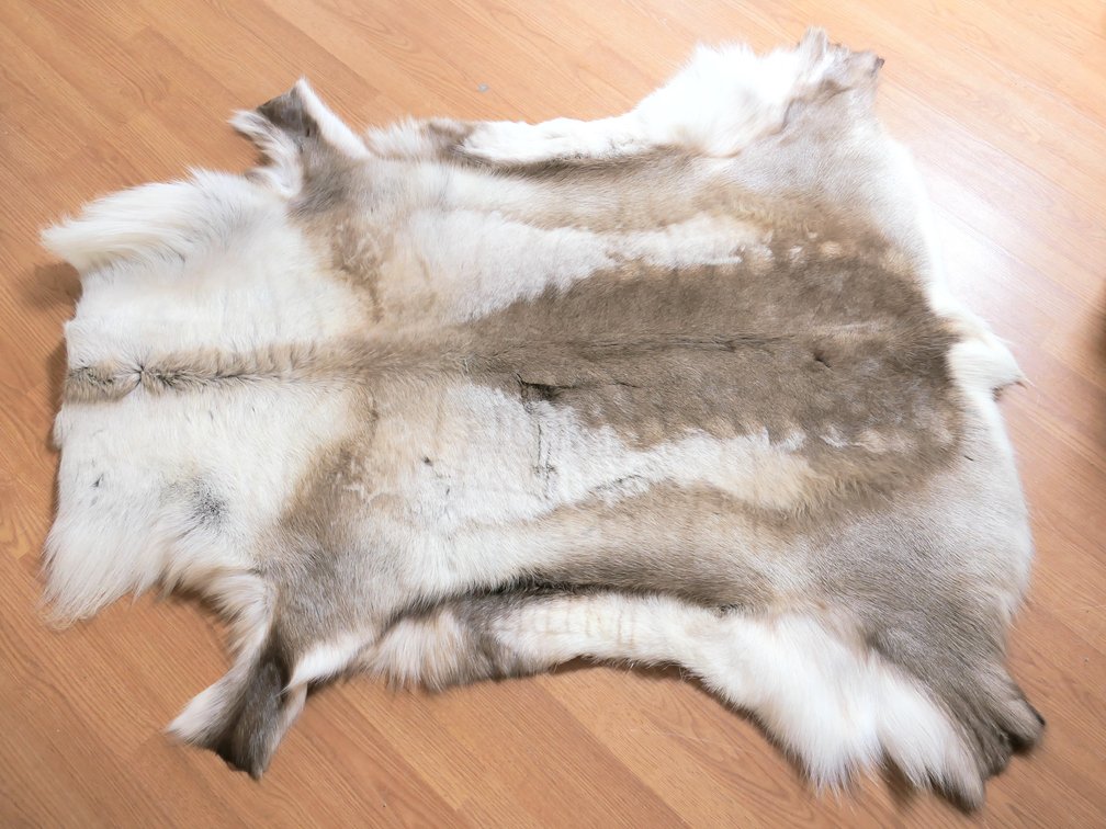 Reindeer Pelt