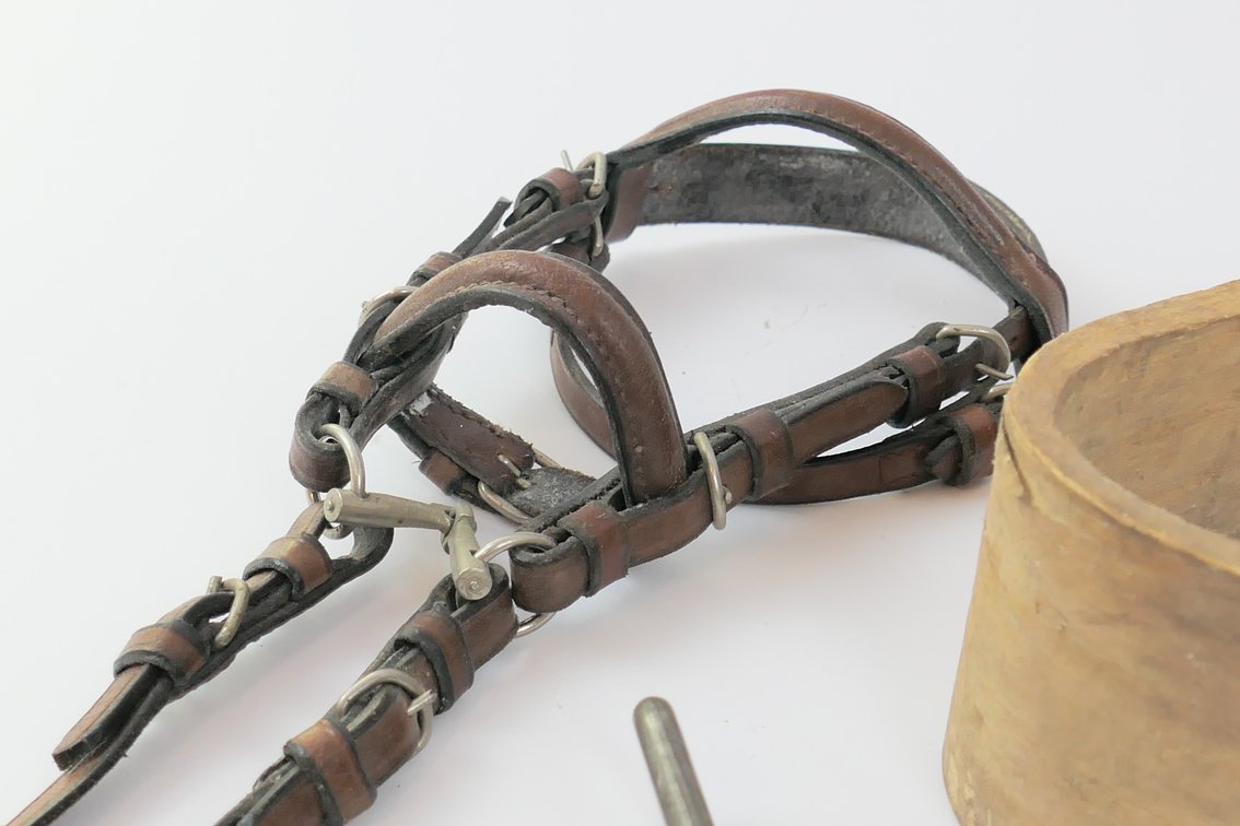Horse Accessories