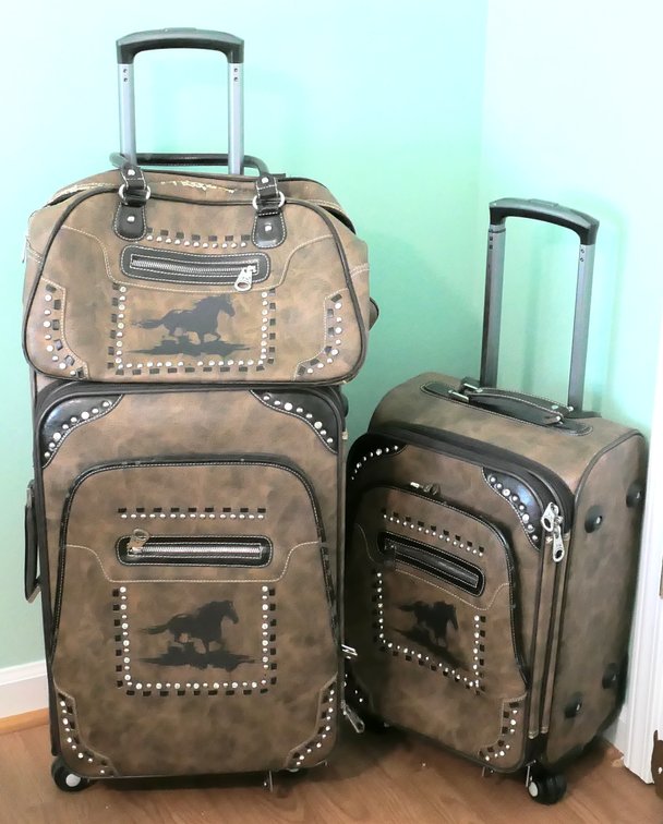 Western Style Luggage Set