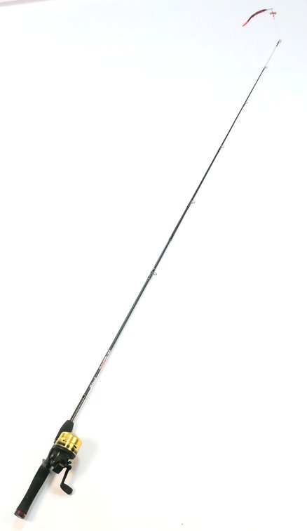 Shakespeare Ugly Stik GX2 and Daiwa Reel