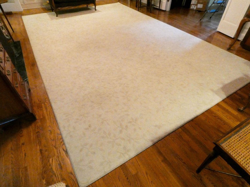 Large Foliate Area Rug