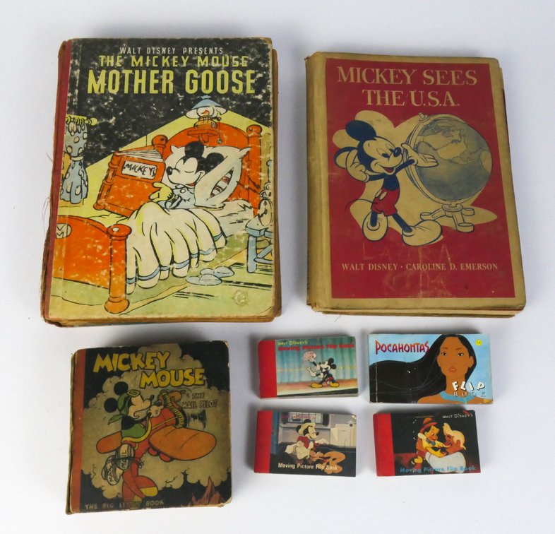 Vintage Disney Books Collection