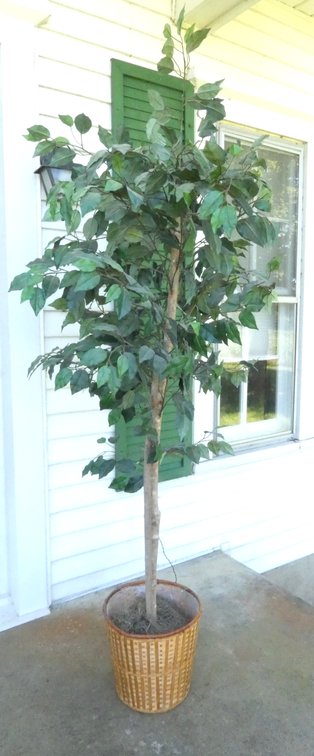 Faux Accent Tree