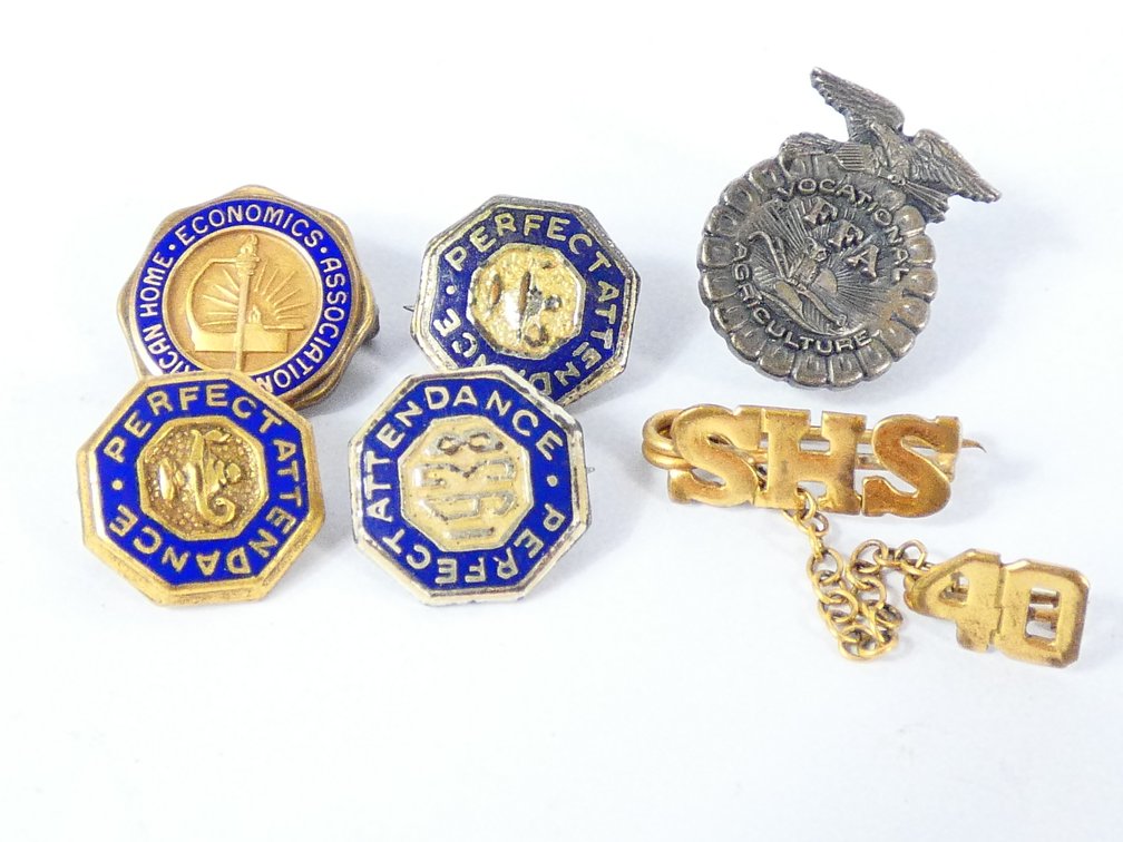 Shelbyville High School Pin
