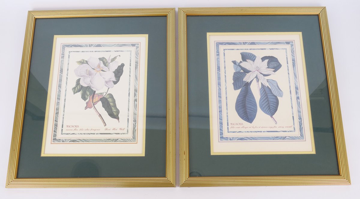 Pair of Framed Botanical Art Prints