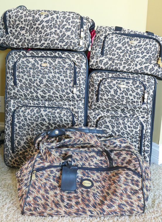 Cheetah Print Suitcase Set