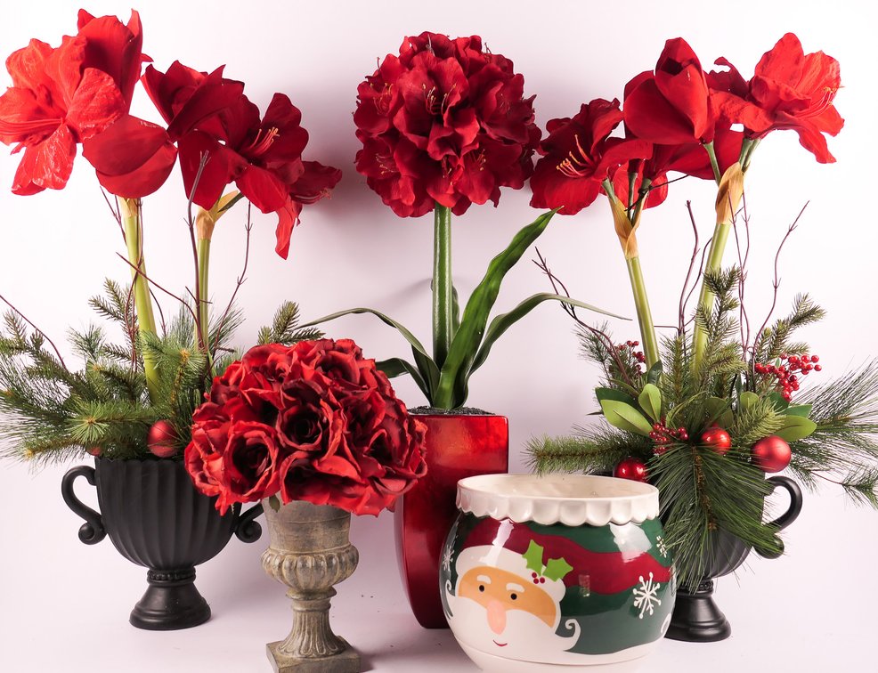 Assortment of Holiday Florals