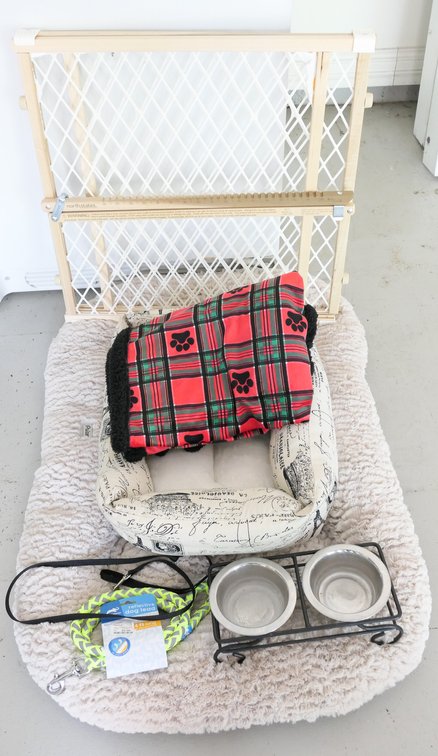 Dog Beds and Accessories