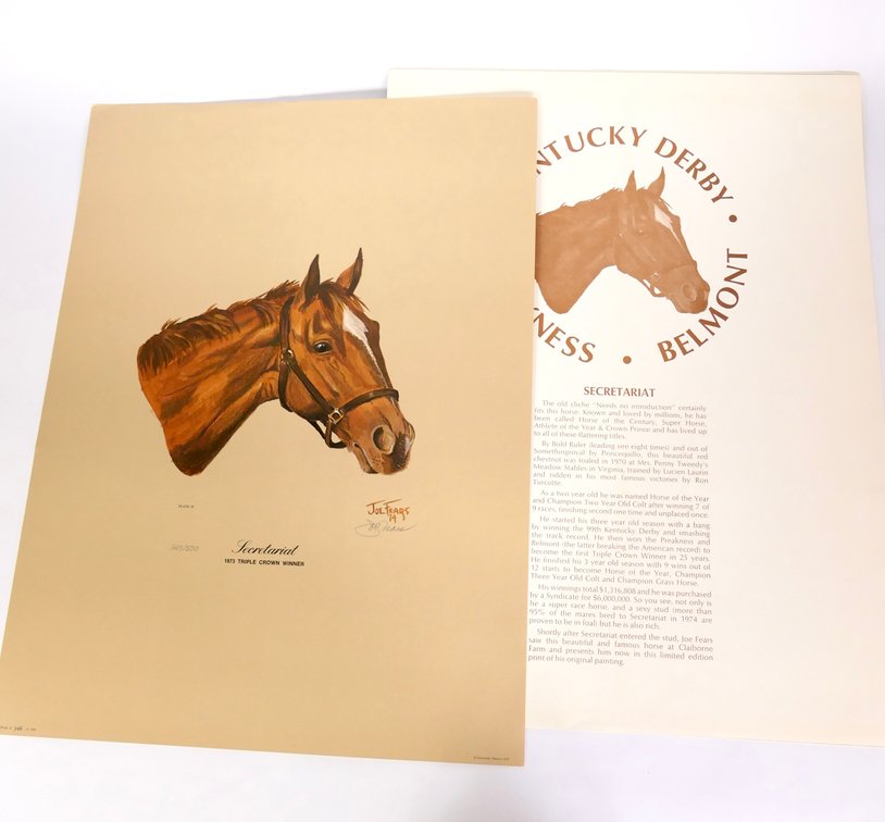 Secretariat Print by Joe Fears