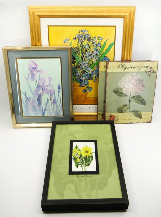 Five Floral Artwork Pieces
