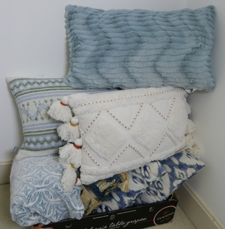 Blue and Cream Pillows
