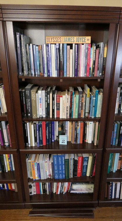 Particle Board Bookcase
