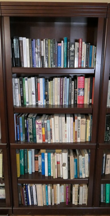Particle Board Bookcase