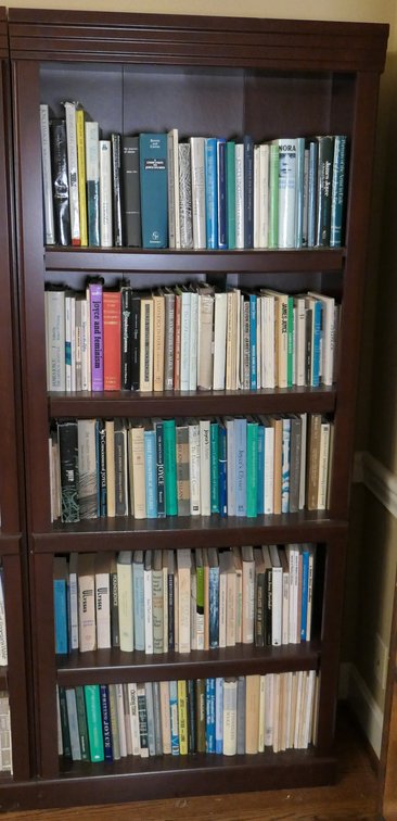 Particle Board Bookcase