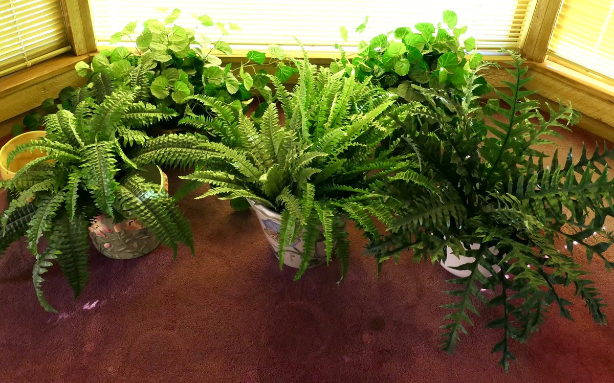 Assorted Faux Foliage and Planters