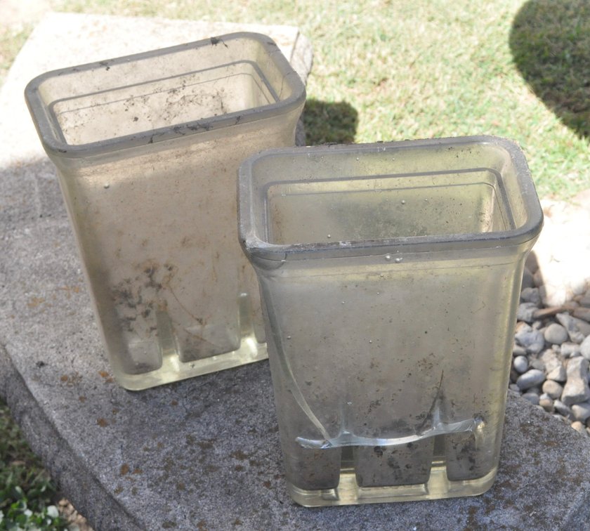 Two Glass Battery Storage Jars