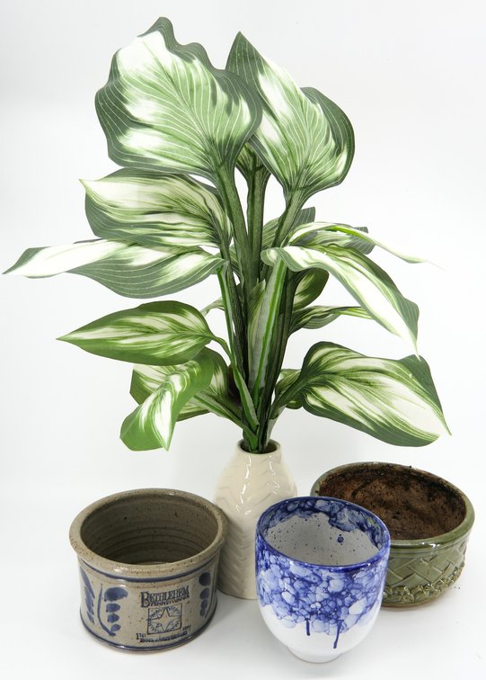 Four Planters