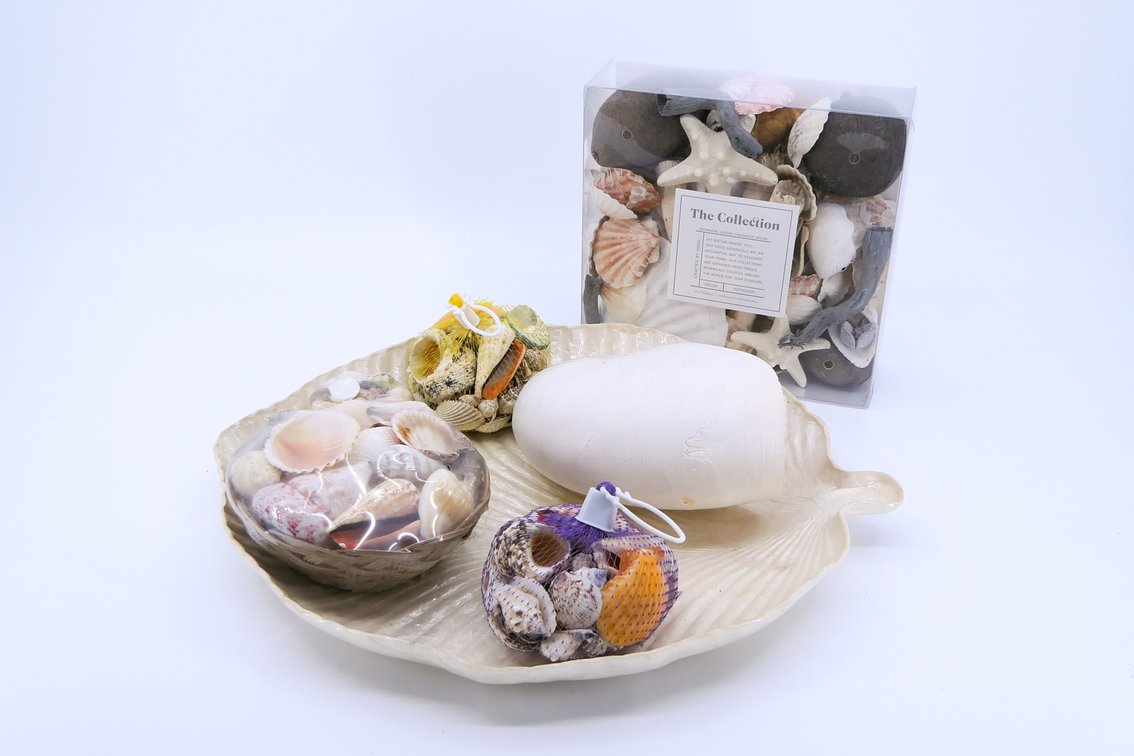 Shell Collection