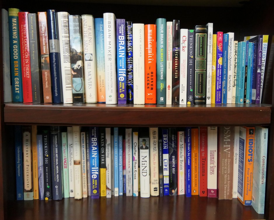 Two Shelves of Books About the Brain