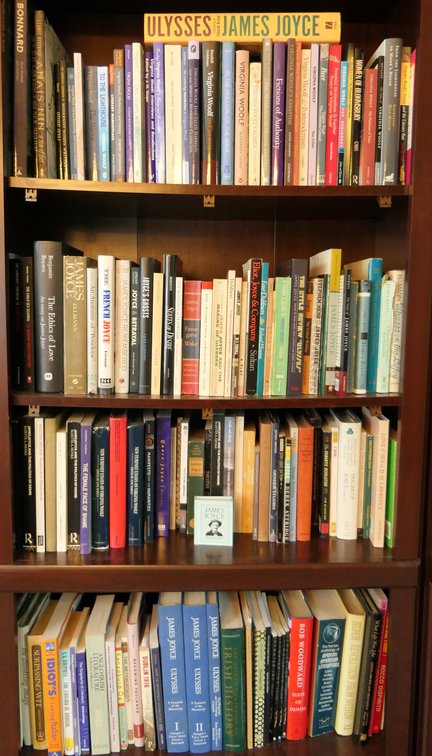 Four Shelves of Books