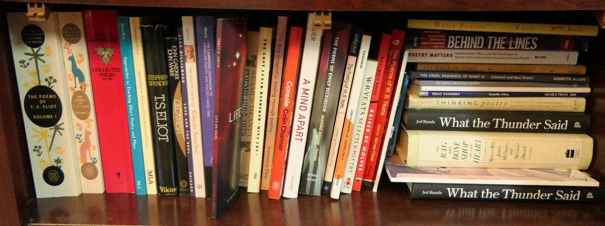 Shelf of Poetry