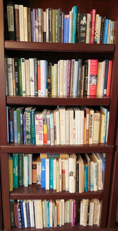Five Shelves of Books